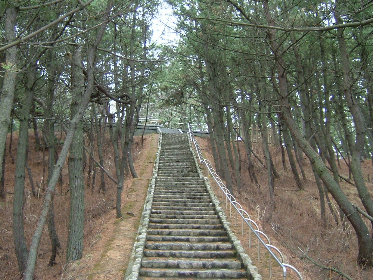 西海岸公園